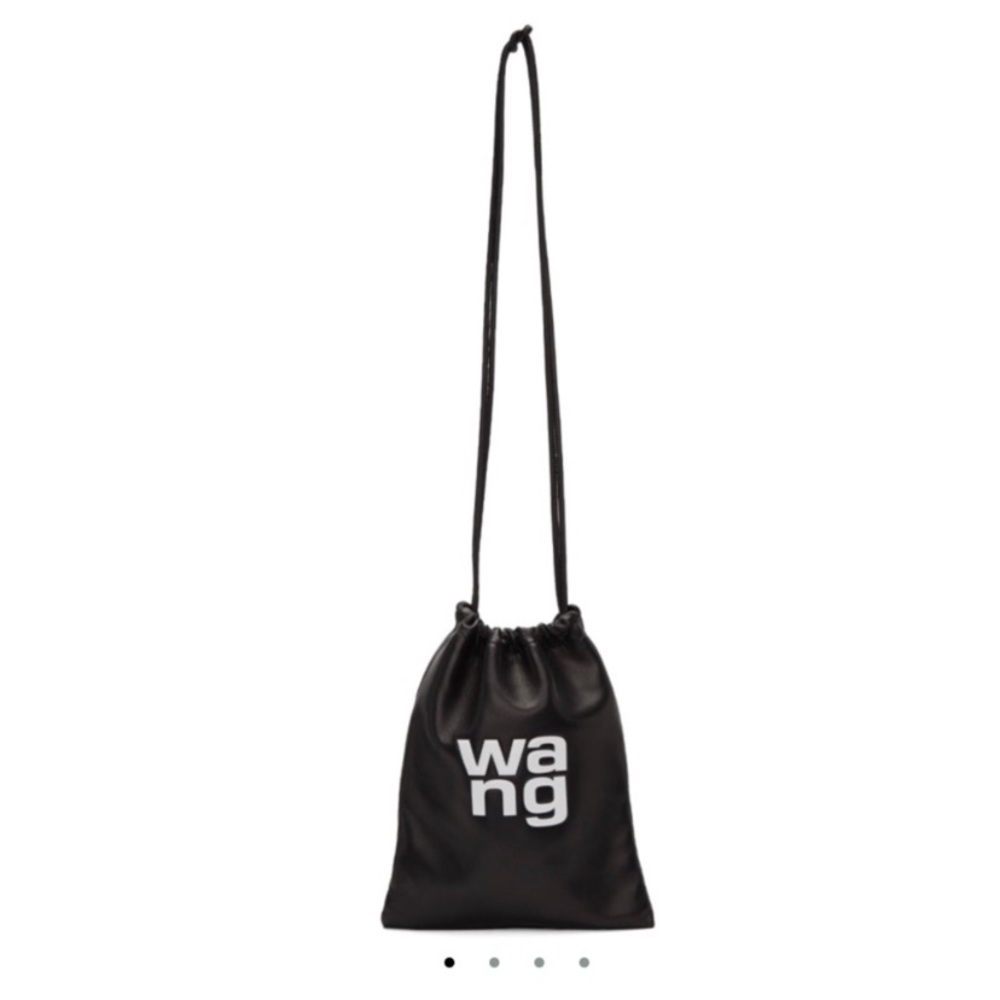Alexander Wang pouch